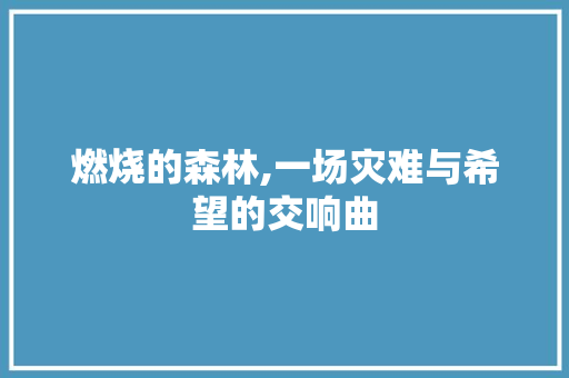 燃烧的森林,一场灾难与希望的交响曲