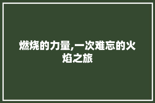 燃烧的力量,一次难忘的火焰之旅