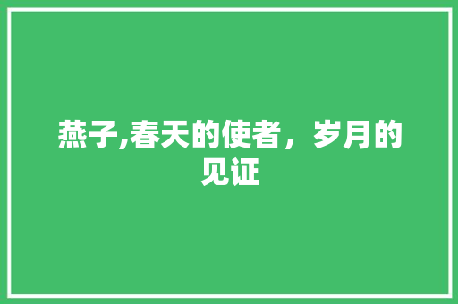 燕子,春天的使者，岁月的见证