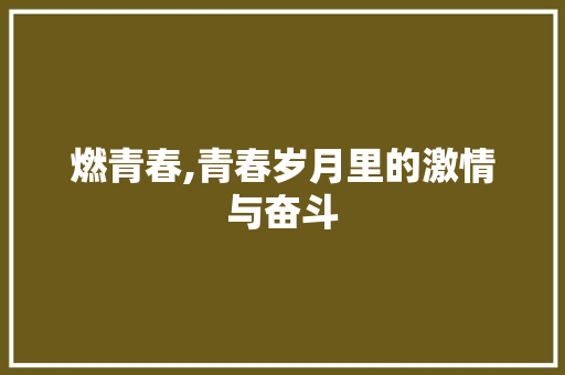 燃青春,青春岁月里的激情与奋斗