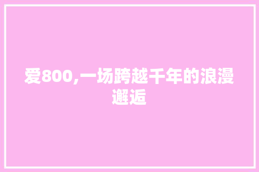 爱800,一场跨越千年的浪漫邂逅