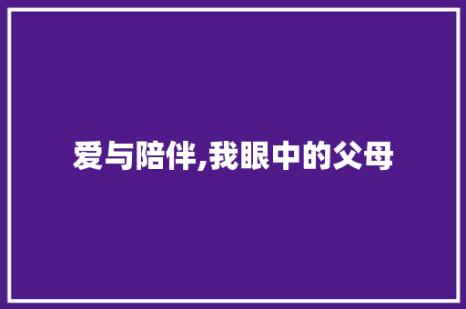 爱与陪伴,我眼中的父母