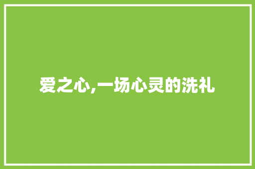 爱之心,一场心灵的洗礼