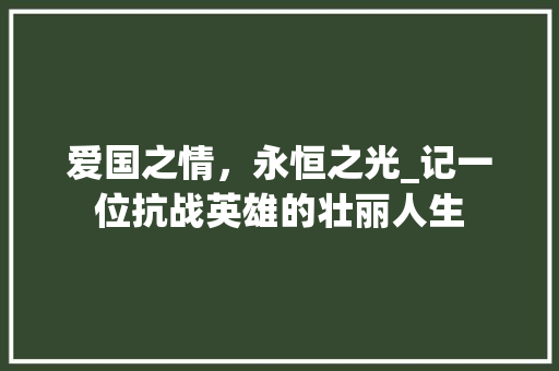 爱国之情，永恒之光_记一位抗战英雄的壮丽人生