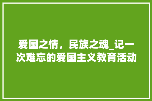 爱国之情，民族之魂_记一次难忘的爱国主义教育活动