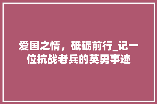 爱国之情，砥砺前行_记一位抗战老兵的英勇事迹