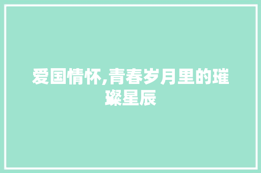 爱国情怀,青春岁月里的璀璨星辰