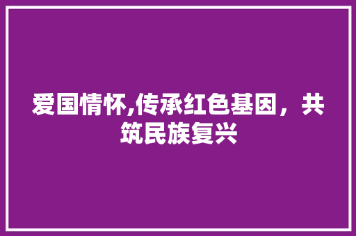 爱国情怀,传承红色基因，共筑民族复兴