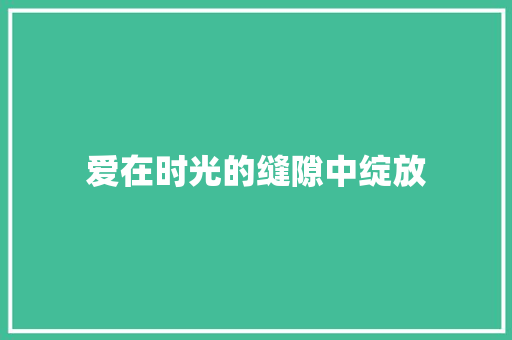 爱在时光的缝隙中绽放