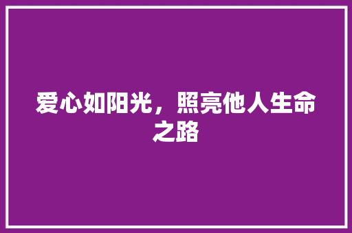 爱心如阳光，照亮他人生命之路