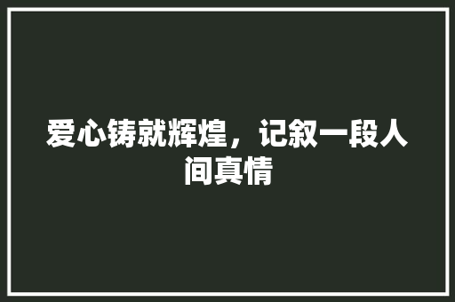 爱心铸就辉煌，记叙一段人间真情