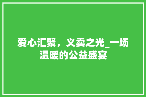 爱心汇聚，义卖之光_一场温暖的公益盛宴