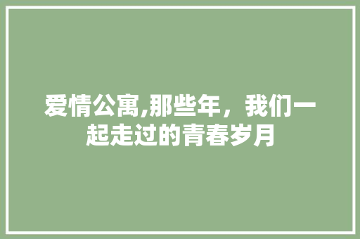 爱情公寓,那些年，我们一起走过的青春岁月