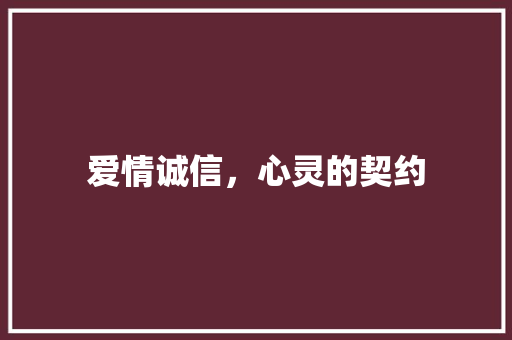 爱情诚信，心灵的契约