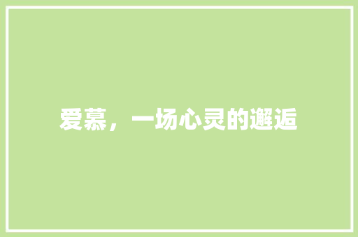 爱慕，一场心灵的邂逅 致辞范文