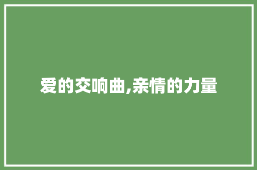 爱的交响曲,亲情的力量