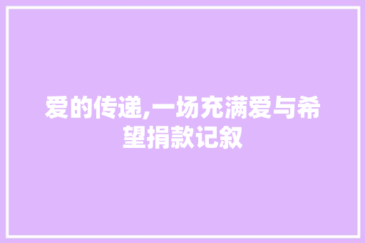 爱的传递,一场充满爱与希望捐款记叙