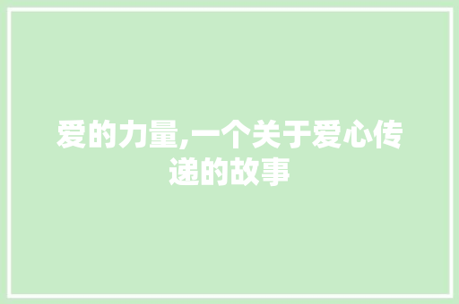 爱的力量,一个关于爱心传递的故事