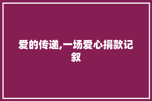 爱的传递,一场爱心捐款记叙