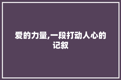 爱的力量,一段打动人心的记叙