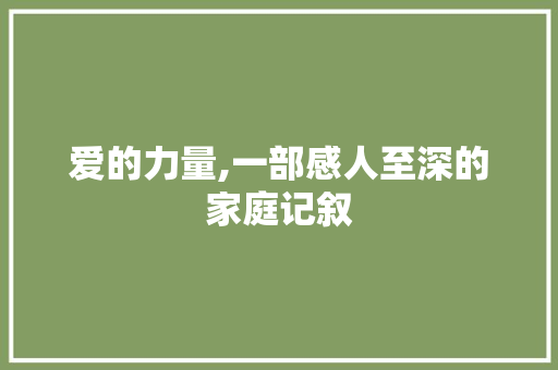 爱的力量,一部感人至深的家庭记叙