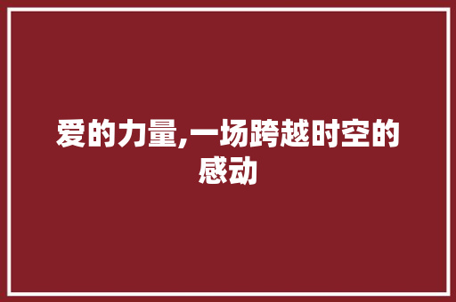 爱的力量,一场跨越时空的感动