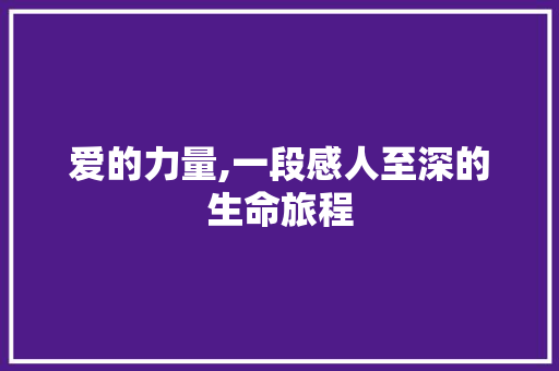 爱的力量,一段感人至深的生命旅程