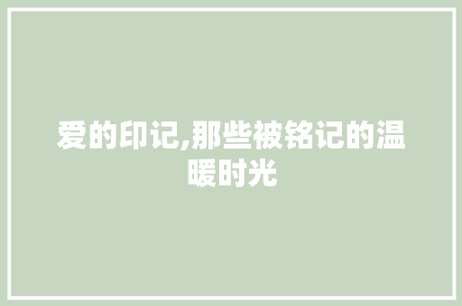 爱的印记,那些被铭记的温暖时光