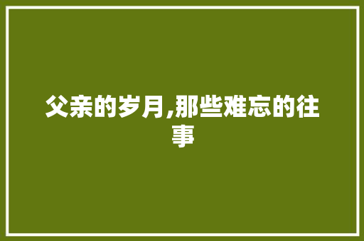 父亲的岁月,那些难忘的往事