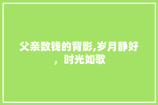 父亲数钱的背影,岁月静好，时光如歌