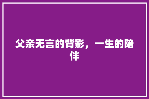 父亲无言的背影，一生的陪伴