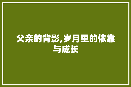 父亲的背影,岁月里的依靠与成长