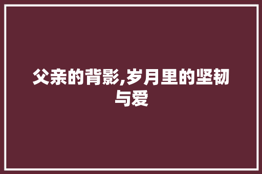 父亲的背影,岁月里的坚韧与爱