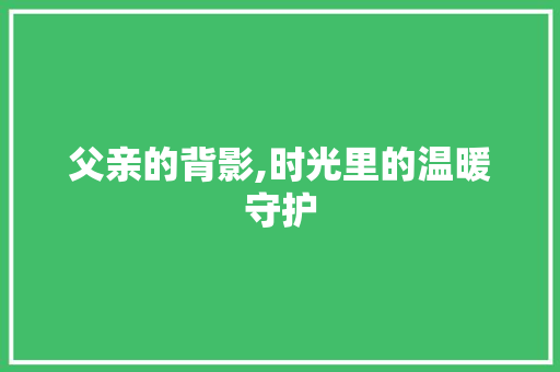 父亲的背影,时光里的温暖守护