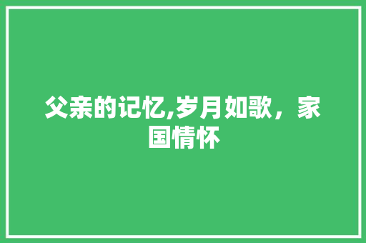 父亲的记忆,岁月如歌，家国情怀