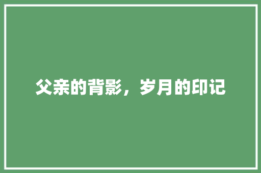 父亲的背影，岁月的印记