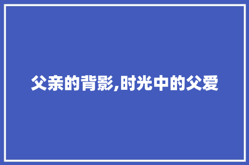 父亲的背影,时光中的父爱