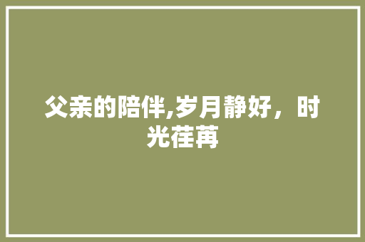 父亲的陪伴,岁月静好，时光荏苒