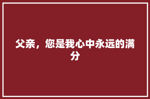 父亲，您是我心中永远的满分