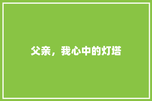 父亲，我心中的灯塔