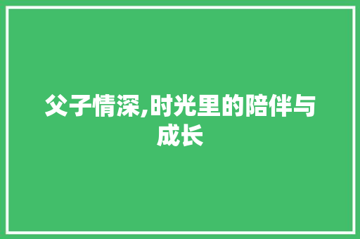 父子情深,时光里的陪伴与成长