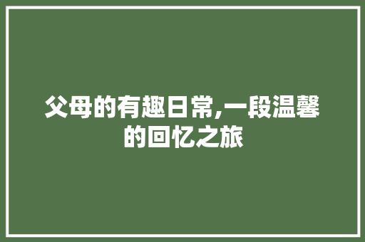 父母的有趣日常,一段温馨的回忆之旅