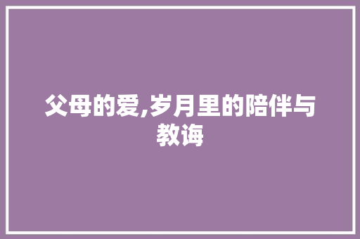 父母的爱,岁月里的陪伴与教诲