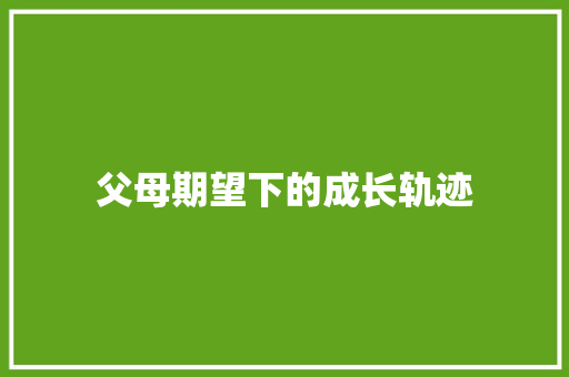 父母期望下的成长轨迹