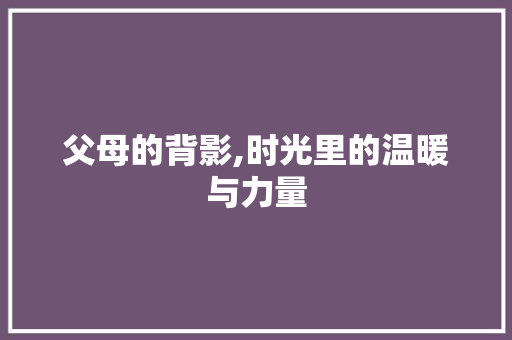 父母的背影,时光里的温暖与力量