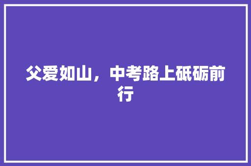 父爱如山，中考路上砥砺前行