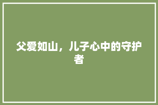 父爱如山，儿子心中的守护者