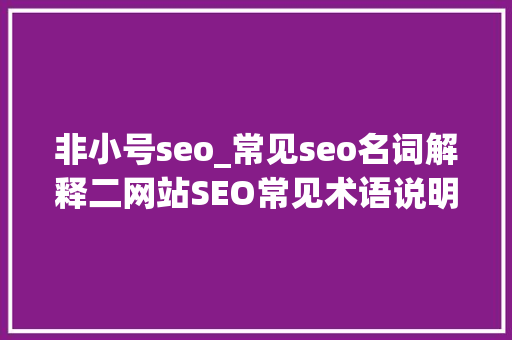 非小号seo_常见seo名词解释二网站SEO常见术语说明从SEO到优化实战大年夜师 学术范文