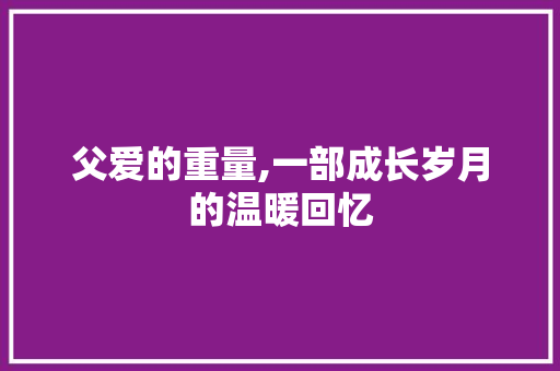 父爱的重量,一部成长岁月的温暖回忆