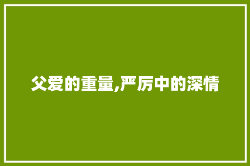 父爱的重量,严厉中的深情